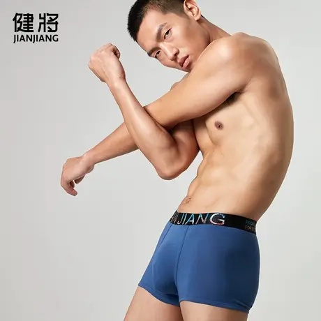 【19.9元秒杀】健将男士内裤平角裤-2条装图片